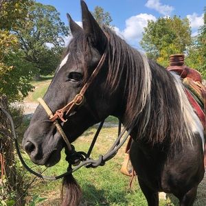 Meet your Posher, James